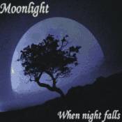 Moonlight (ARG) : When Night Falls